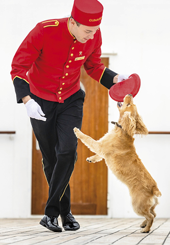 Pets on board