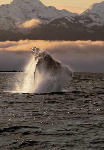 Alaska 9 de agosto 2025