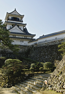 Excursiones Japón de Agosto