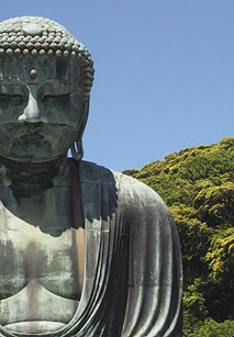 Viaje Completo por Japón y Fuegos Artificiales